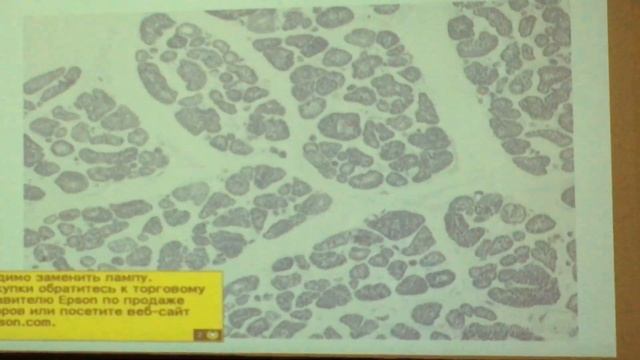 Препараты 3 колок (ч1)