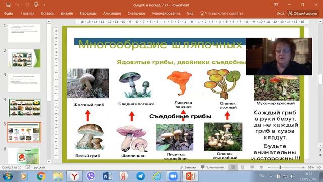 Съедобные и несъедобные грибы смотреть онлайн