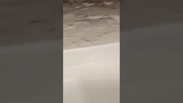 В этой квартире не делался ремонт 20 лет. Продолжение следует. 4.04.2023. Иркутск. смотреть онлайн