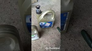 Замена масла Captiva 2.0 D