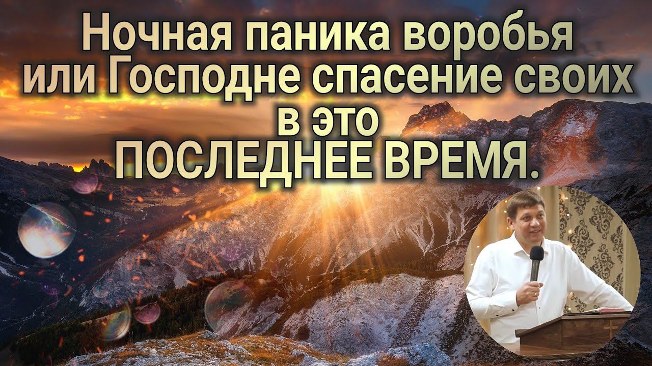 Ночная паника воробья или Господне спасение своих в это последнее время. смотреть онлайн