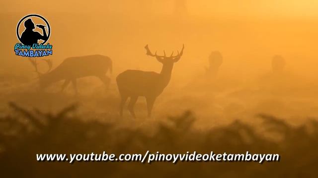 Some Hearts Are Diamonds - KARAOKE VERSION - Chris Norman смотреть онлайн