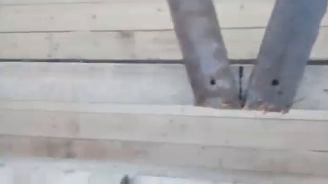 Крольчатник своими руками, как это начиналось смотреть онлайн