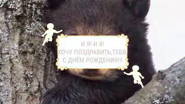 С ДНЁМ РОЖДЕНИЯ, СЫНУЛИЧКА! смотреть онлайн