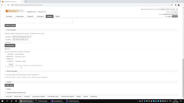 RabbitMQ Queue e Message TTL Expiration смотреть онлайн