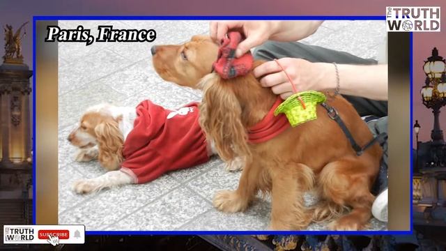 10 Amazing Facts About Paris || Facts About Paris || 10 Things You Didn't Know About Paris смотреть онлайн