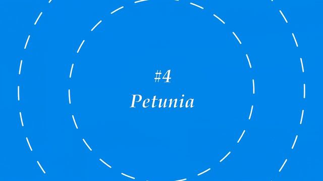 Top 10 Flowers of 2021/ My Top Pick From My Garden! 🌸 смотреть онлайн