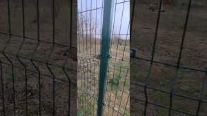 Установка 3D забора