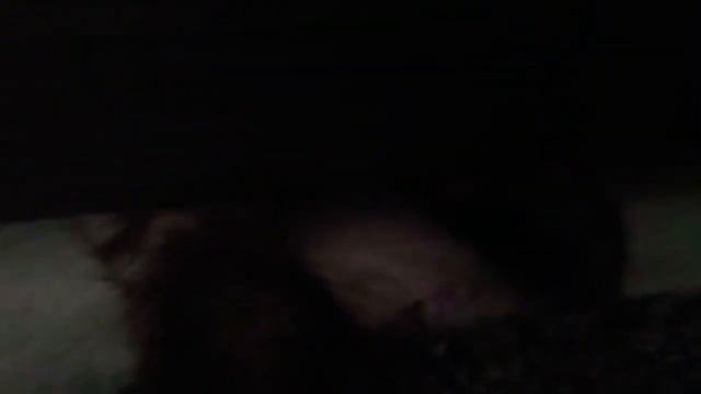 ЛАПКА ПОД ДВЕРЬЮ!ЧТОООООО?!?!???!? смотреть онлайн