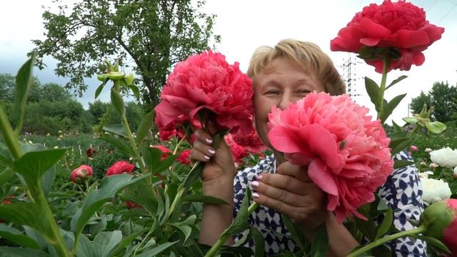 Пион Command Performance. Май 2018 смотреть онлайн