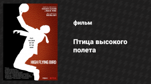 Птица высокого полёта (фильм, 2018)