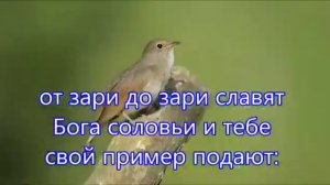от зари до зари , славят Бога соловьи!!!