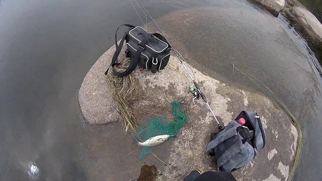 Дневная рыбалка на перекатах смотреть онлайн