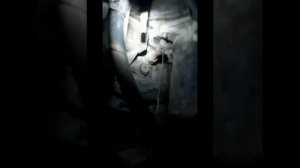 Где находится номер двигателя F1AE0481B. ДИЗЕЛЬ УАЗ ПАТРИОТ