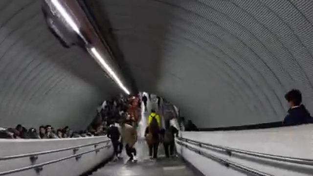 Мехико — землетрясение, метро, ярмарка, зоопарк смотреть онлайн