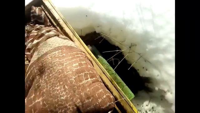 Конец зимы пчёлы голодают. смотреть онлайн