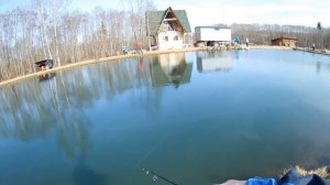 Ловля форели. Весной на платнике.