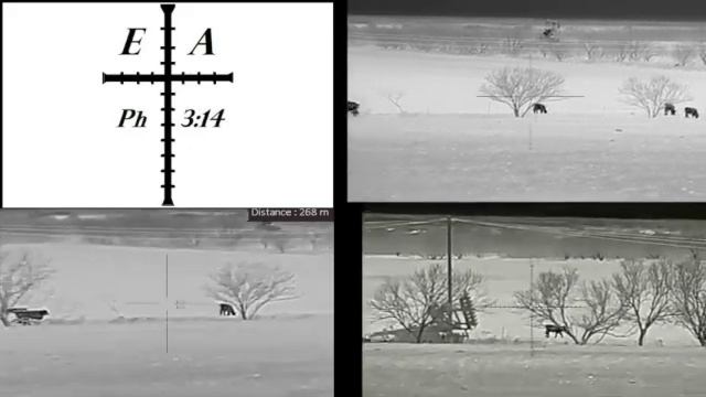 AGM VARMINT LRF VS BERING SUPER HOGSTER VS AGM GLOBAL VISION RATTLER TS50-640 смотреть онлайн