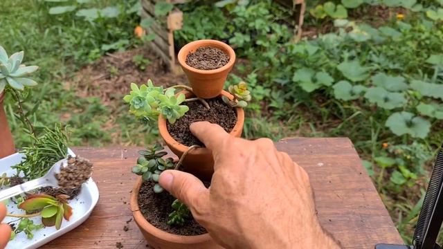 Ideia linda com vaso de cerâmica - Vaso triplo com jade e orelha de Shrek смотреть онлайн