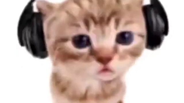 Undertale amalgam but its a funy cat смотреть онлайн