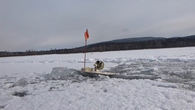 ЖЕРЛИЦЫ-2017.ЩУКА. смотреть онлайн