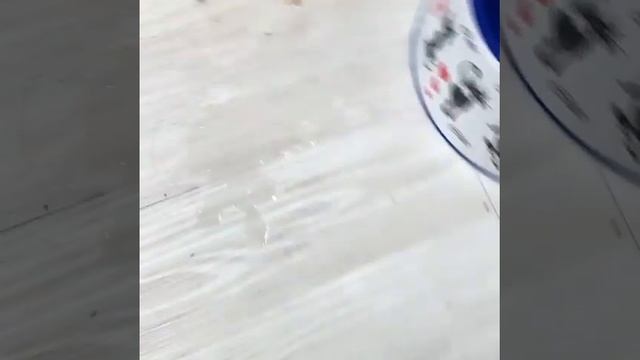 Краснова Наташа Новые лучшие видео от krasnovanatasha ТИК ТОК Инстаграм Ютуб смотреть онлайн