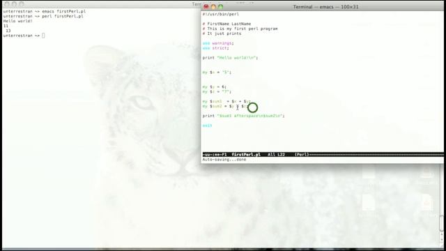 Perl for Bioinformatics 2 - Introduction 2 смотреть онлайн