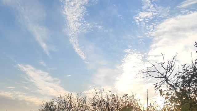 Приметы О Тапочках, Которые Надо Знать Каждому. смотреть онлайн
