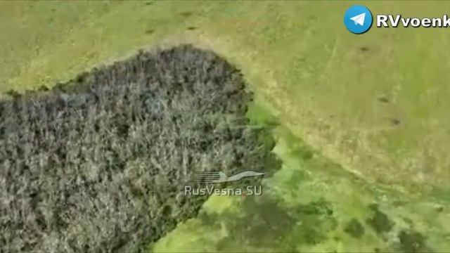 «Отважные» выследили передвижение хохлов в лесах на фронте Сватово-Кременной и нанесли удар. NE.САХ смотреть онлайн