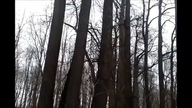 Усадьбы Москвы."Дворянское гнездо" смотреть онлайн