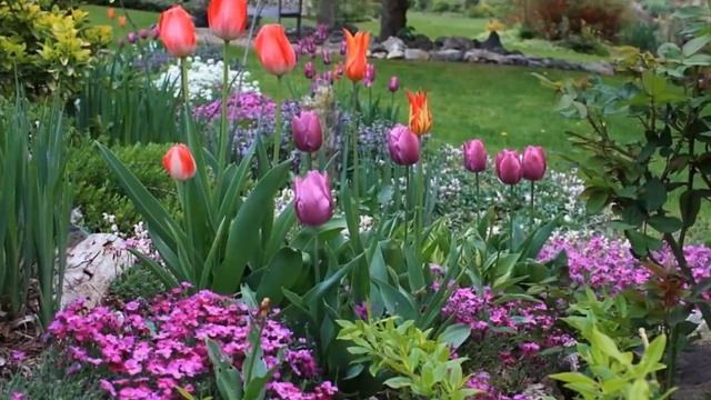 Красивый сад своими руками смотреть онлайн