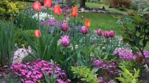 Красивый сад своими руками