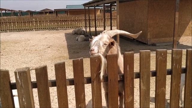 Геническ, Арабатская стрелка, Стрелковое | Отдых в Украине | Розовое озеро смотреть онлайн