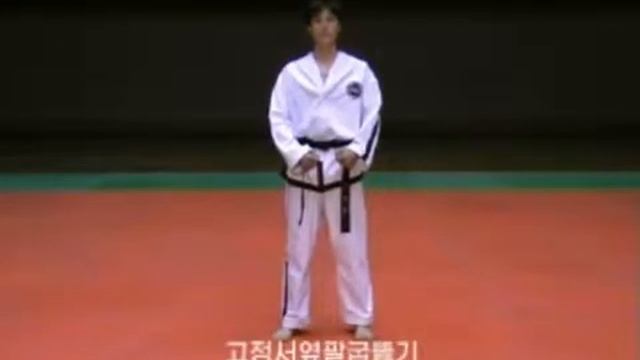 23. 5-й Дан. Се-Чжонг Туль / Se-Jong Tul (Pattern) - Taekwon-Do ITF. New techniques. смотреть онлайн