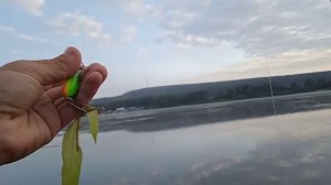 Рыбалка на реке Томь в Кемерово, Чайка