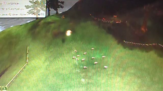 Black & White 2Задание Спасти овечек смотреть онлайн