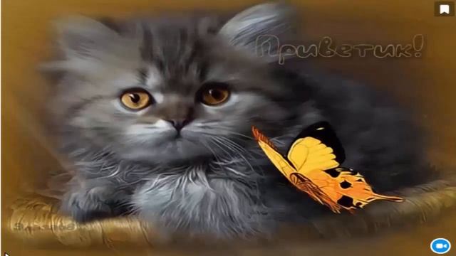 Кошка беспородная... смотреть онлайн