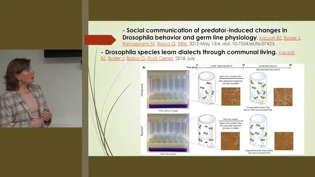 Дьяконова В.Е. Прогнозирующий мозг и биологическая эволюция. Школа психофизиолога МГУ, 06.11.2019. смотреть онлайн