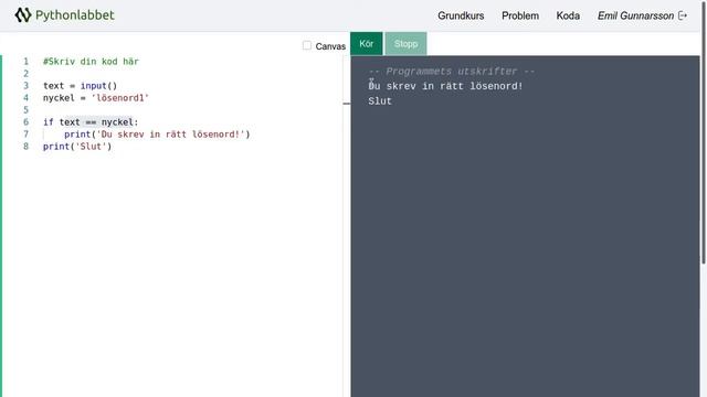 if-satser i Python смотреть онлайн