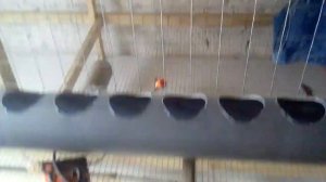 Сетки для кур несушек