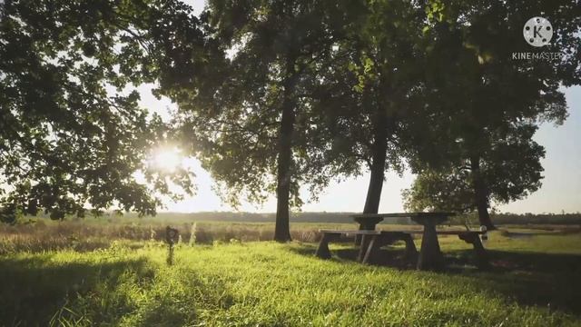 Respect your Self, Release your Stress, See God Blessings, Express Your Self, Achieve your Goal смотреть онлайн