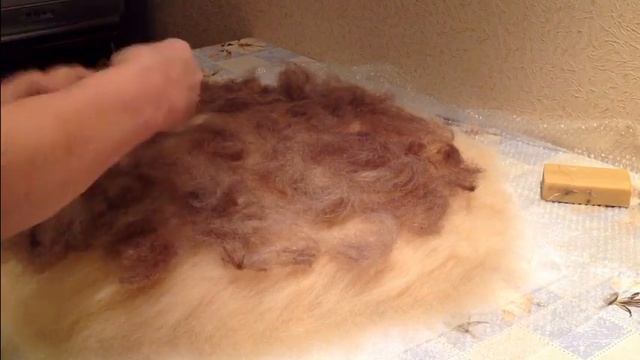 самый теплый дом для кошки,часть2 смотреть онлайн