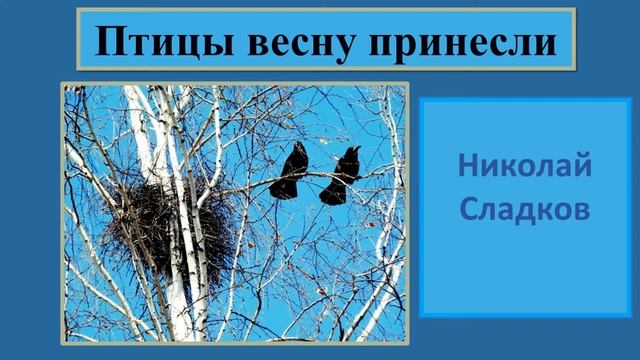 Николай Сладков "Птицы весну принесли" смотреть онлайн