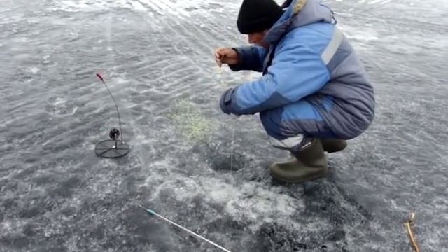 Карелия Онего 2012г смотреть онлайн