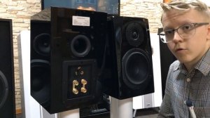 Басовитая полочная акустика Phonar Veritas m4 next