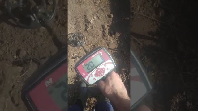 терка 305 смотреть онлайн