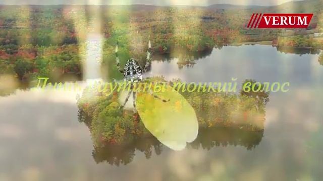 Ф.И.Тютчев.Есть в осени первоначальной.Читает Гуламова Багира. смотреть онлайн