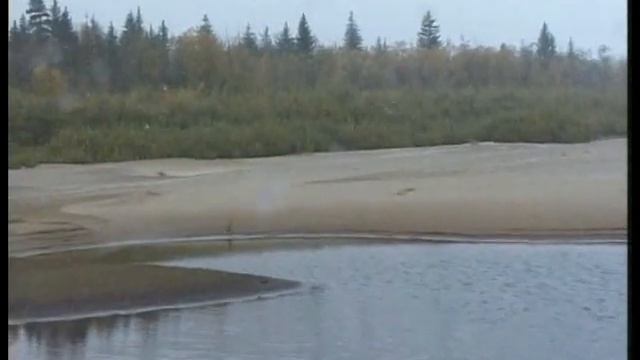 ДИАЛОГИ О РЫБАЛКЕ | НАЛИМ смотреть онлайн