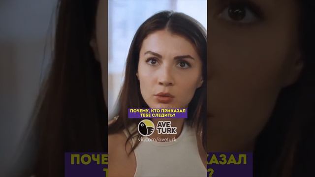 Нашли шпиона ?- 7 серия #душанеслышит#зимородок#турецкий#сериал смотреть онлайн