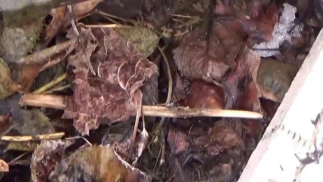 Весна пришла! Обязательные работы на даче.